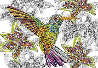 Puzzle Hummingbird Colouring - Banbury Arte